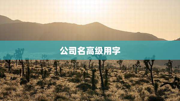 公司名高级用字