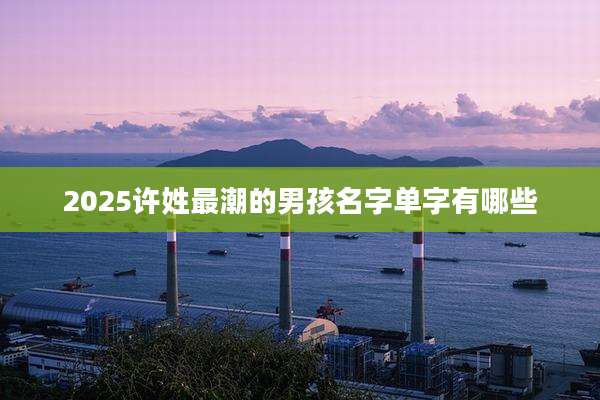 2025许姓最潮的男孩名字单字有哪些