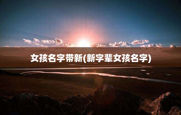 女孩名字带新(新字辈女孩名字)