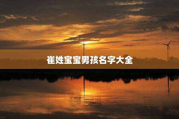 崔姓宝宝男孩名字大全