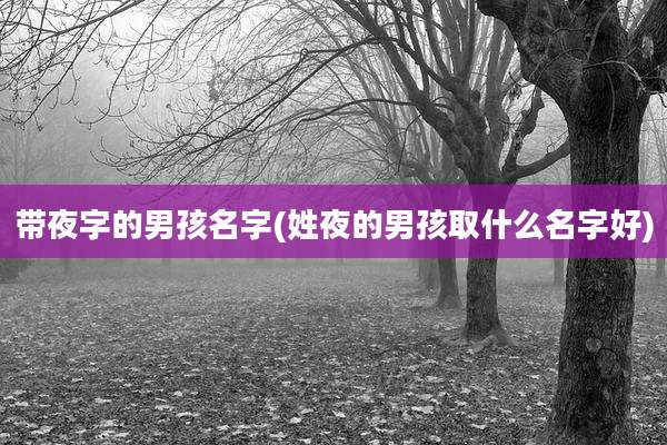 带夜字的男孩名字(姓夜的男孩取什么名字好)