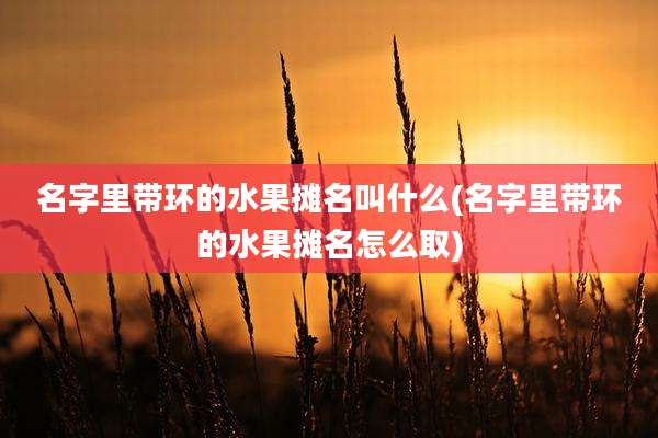 名字里带环的水果摊名叫什么(名字里带环的水果摊名怎么取)