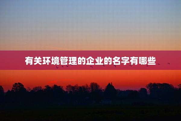 有关环境管理的企业的名字有哪些