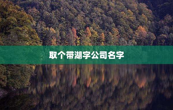 取个带湖字公司名字