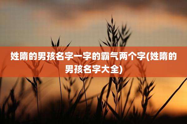 姓隋的男孩名字一字的霸气两个字(姓隋的男孩名字大全)