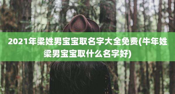 2021年梁姓男宝宝取名字大全免费(牛年姓梁男宝宝取什么名字好)