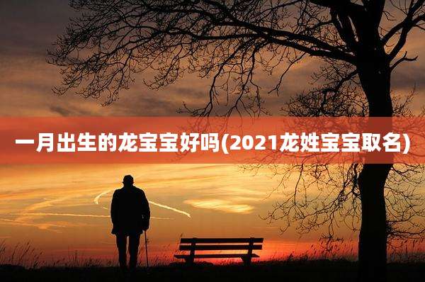 一月出生的龙宝宝好吗(2021龙姓宝宝取名)