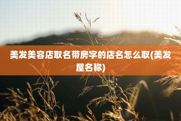 美发美容店取名带房字的店名怎么取(美发屋名称)