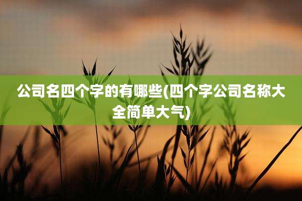 公司名四个字的有哪些(四个字公司名称大全简单大气)