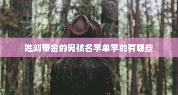 姓刘带金的男孩名字单字的有哪些