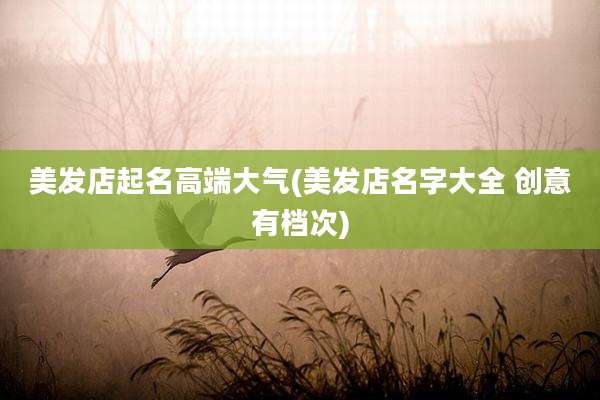 美发店起名高端大气(美发店名字大全 创意有档次)