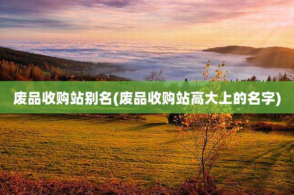 废品收购站别名(废品收购站高大上的名字)