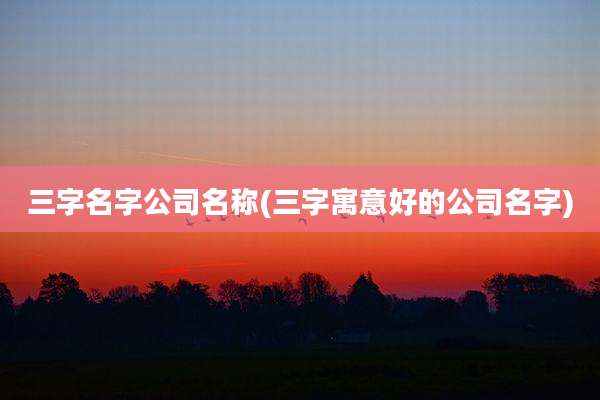三字名字公司名称(三字寓意好的公司名字)