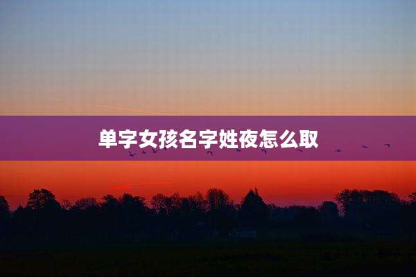 单字女孩名字姓夜怎么取