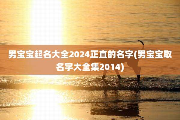 男宝宝起名大全2024正直的名字(男宝宝取名字大全集2014)