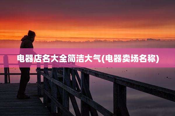 电器店名大全简洁大气(电器卖场名称)