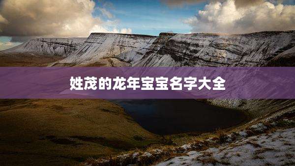 姓茂的龙年宝宝名字大全