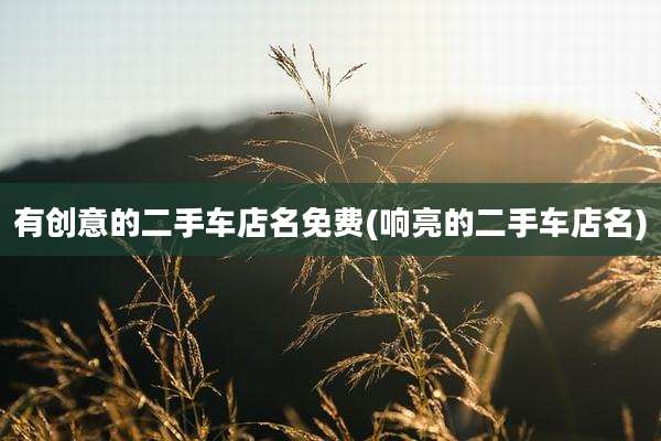 有创意的二手车店名免费(响亮的二手车店名)
