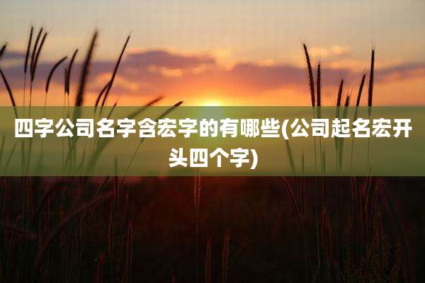 四字公司名字含宏字的有哪些(公司起名宏开头四个字)