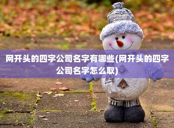 网开头的四字公司名字有哪些(网开头的四字公司名字怎么取)