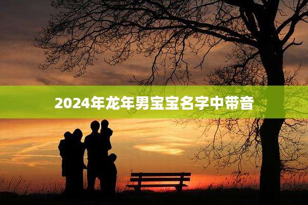 2024年龙年男宝宝名字中带音