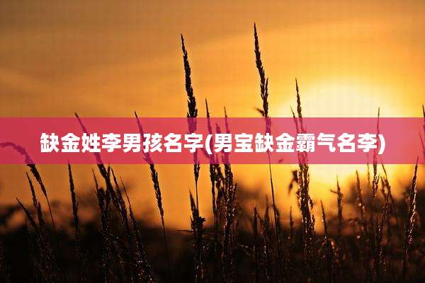 缺金姓李男孩名字(男宝缺金霸气名李)