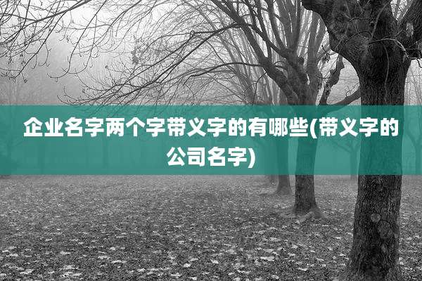 企业名字两个字带义字的有哪些(带义字的公司名字)