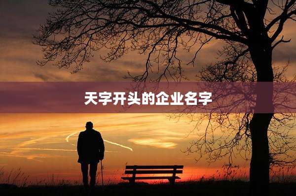 天字开头的企业名字