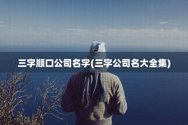 三字顺口公司名字(三字公司名大全集)