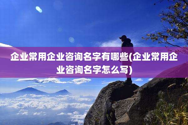 企业常用企业咨询名字有哪些(企业常用企业咨询名字怎么写)