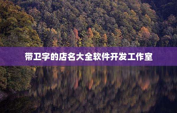 带卫字的店名大全软件开发工作室