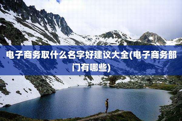电子商务取什么名字好建议大全(电子商务部门有哪些)