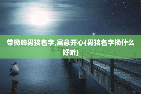 带杨的男孩名字,寓意开心(男孩名字杨什么好听)