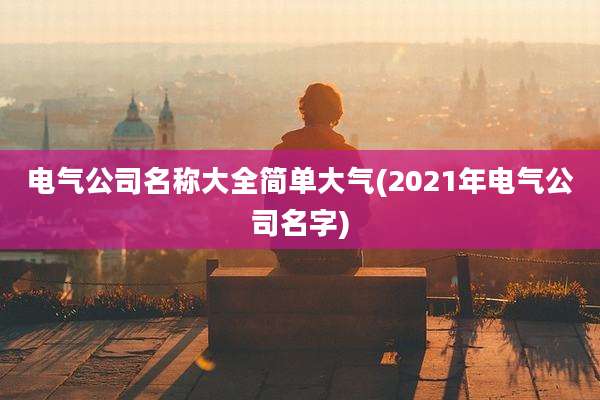 电气公司名称大全简单大气(2021年电气公司名字)