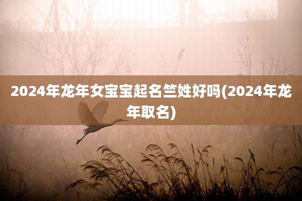 2024年龙年女宝宝起名竺姓好吗(2024年龙年取名)