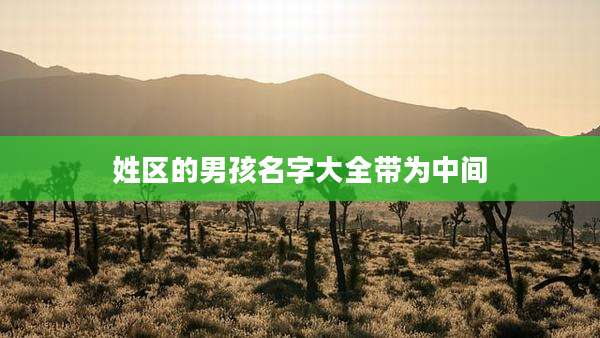 姓区的男孩名字大全带为中间
