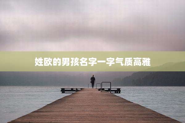 姓欧的男孩名字一字气质高雅