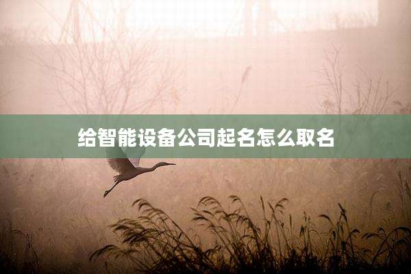 给智能设备公司起名怎么取名