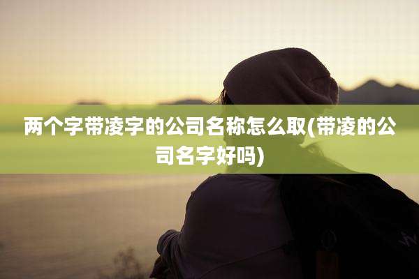 两个字带凌字的公司名称怎么取(带凌的公司名字好吗)