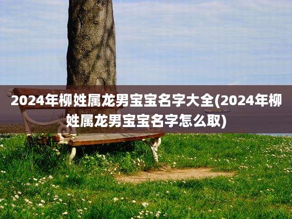 2024年柳姓属龙男宝宝名字大全(2024年柳姓属龙男宝宝名字怎么取)