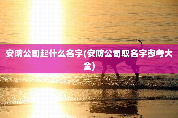 安防公司起什么名字(安防公司取名字参考大全)