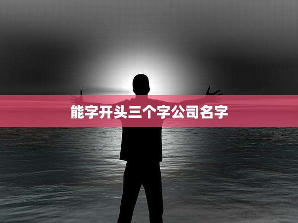 能字开头三个字公司名字