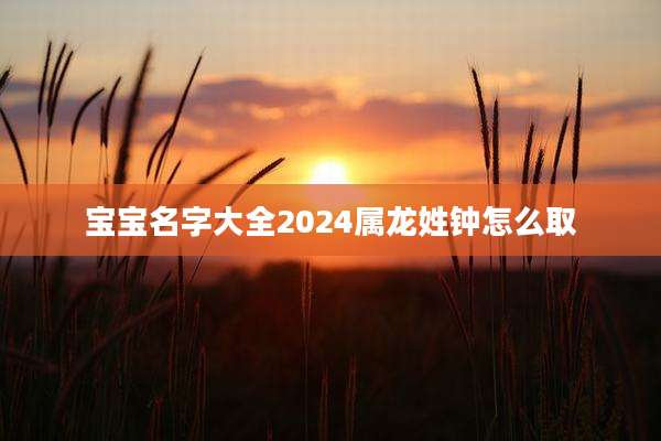 宝宝名字大全2024属龙姓钟怎么取