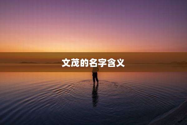 文茂的名字含义