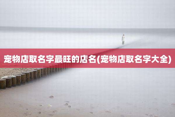 宠物店取名字最旺的店名(宠物店取名字大全)