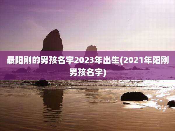 最阳刚的男孩名字2023年出生(2021年阳刚男孩名字)