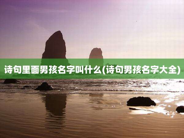 诗句里面男孩名字叫什么(诗句男孩名字大全)