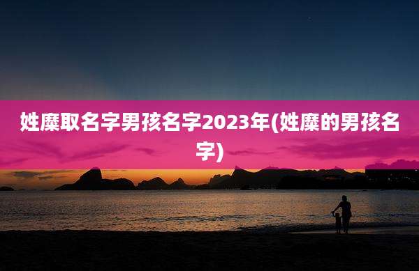 姓糜取名字男孩名字2023年(姓糜的男孩名字)