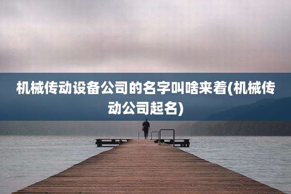 机械传动设备公司的名字叫啥来着(机械传动公司起名)