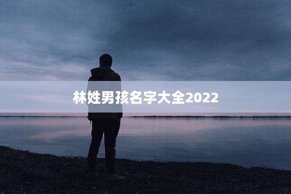 林姓男孩名字大全2022